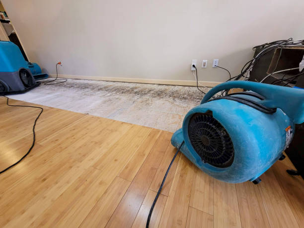 Professional Sewage Cleanup technician working in Cloverdale, CA